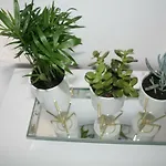 Marinesa Appartement *